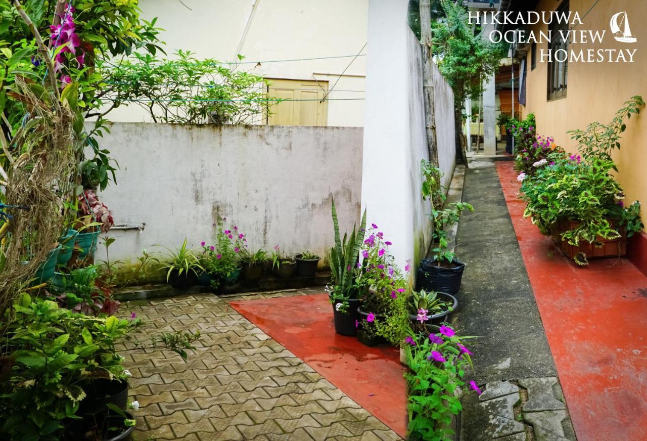 Hikkaduwa Ocean View Homestay Ngoại thất bức ảnh