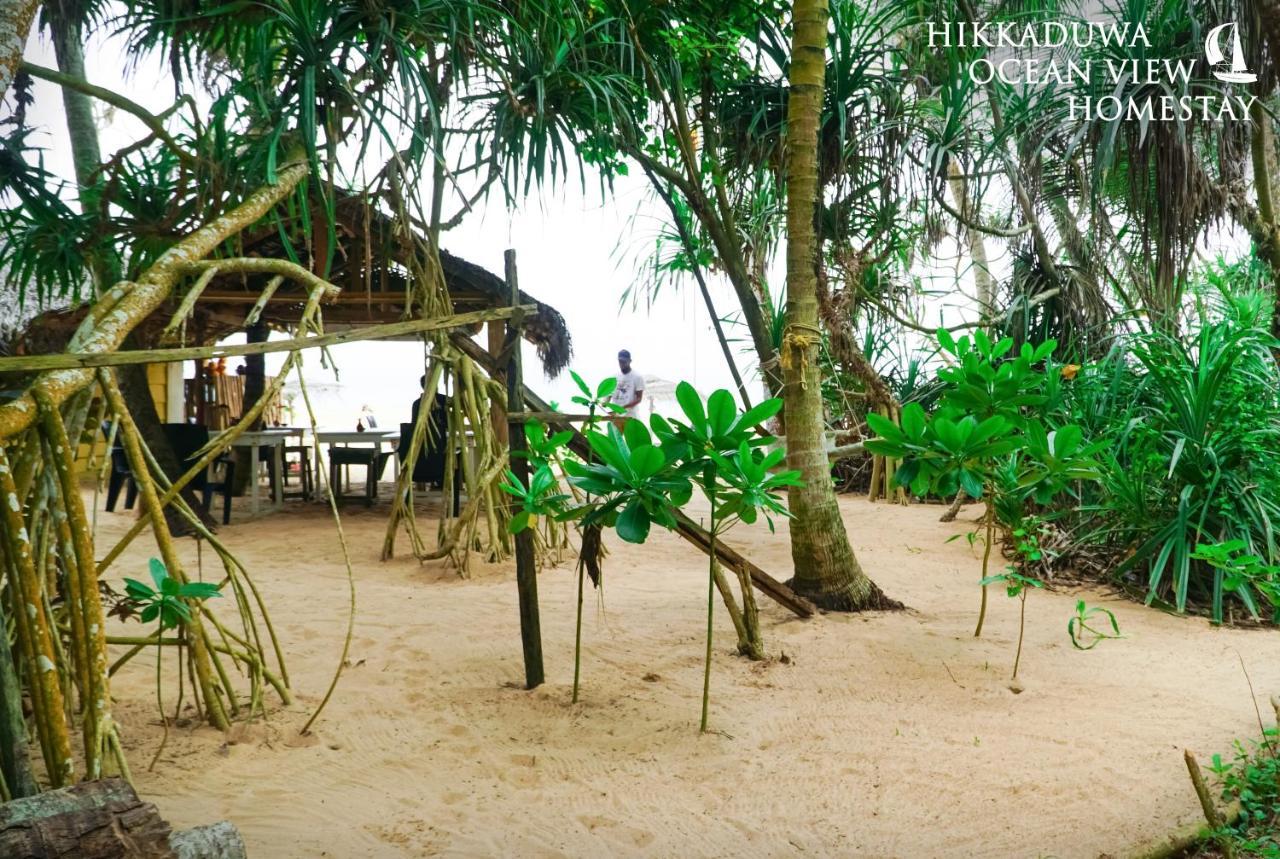 Hikkaduwa Ocean View Homestay Ngoại thất bức ảnh